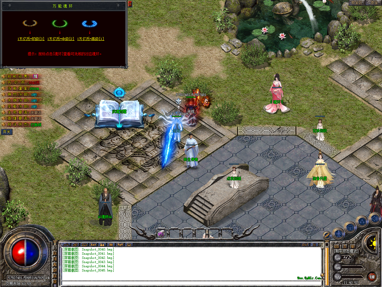 Snapshot_0046.bmp