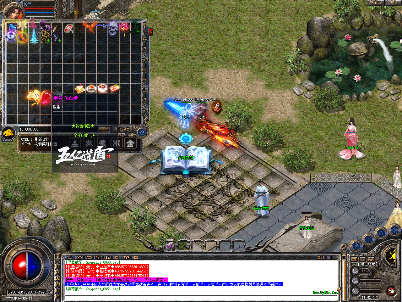 Snapshot_0052.bmp